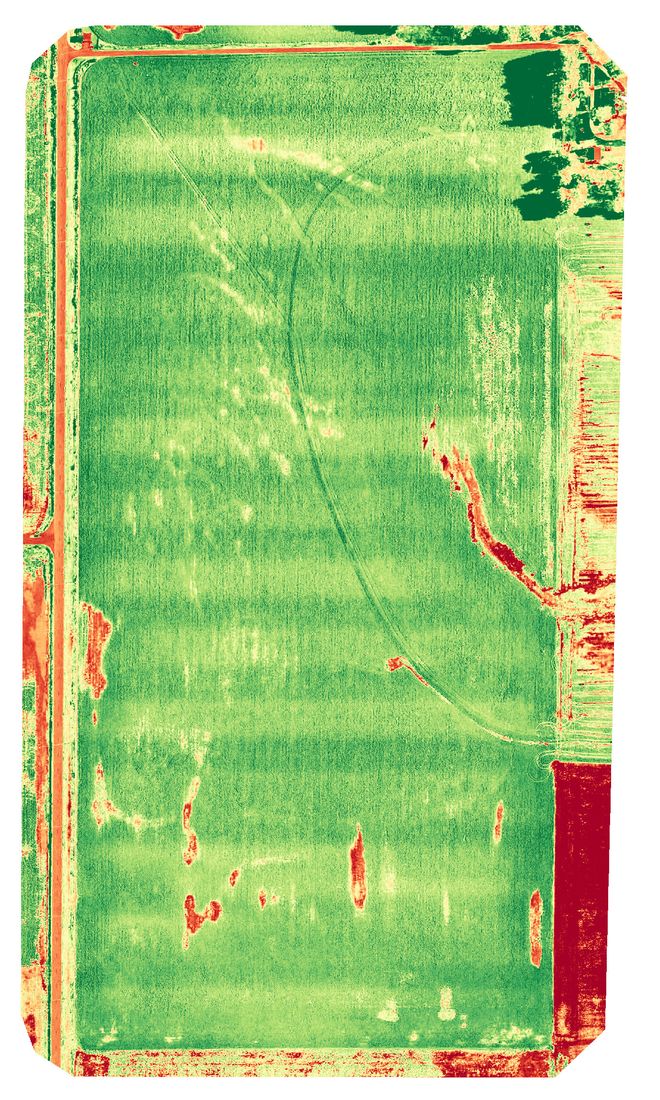 Crop health map of an alfalfa field